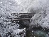 puente del rio nevado