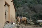 RUTAS A CABALLO EN EL VALLE DE IRUELAS