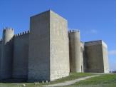 Castillo de Montealegre