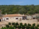 HUERTA CAÑADA DE LA FUENTE