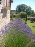 Lavanda en La Ondina