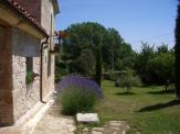 Jardín con lavanda