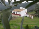 VISTA DEL CORTIJO